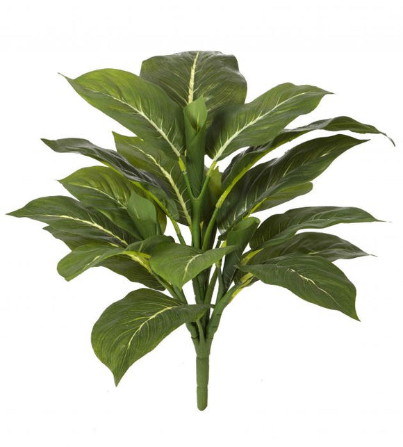 Evergreen Bush - 45cm