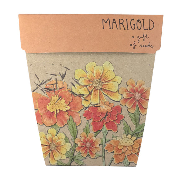 A Gift Of Seeds - Marigolds