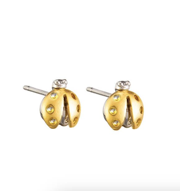 Earrings - Gold Lady Bug Studs