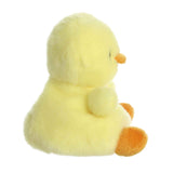 Palm Pal - Betsy Chick