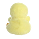Palm Pal - Betsy Chick