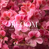 Shower Steamer - Bloom