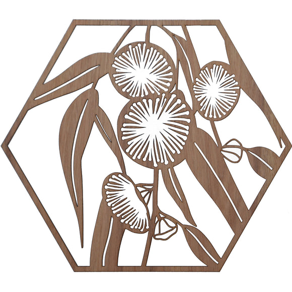 Australian Timber Hexagon Wall Art: Bluegum