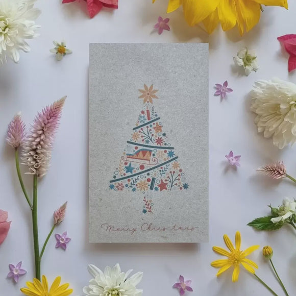 Bee Kind Australia Seed Mix 0.5g - Christmas Tree