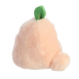 Palm Pal -  Mellow Peach