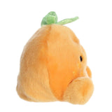 Palm Pal - Orange