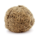 Plush - Prickles the Echidna