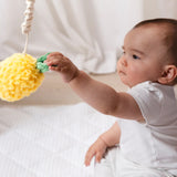 Stroller Toy 2pk - Pineapple & Cherries