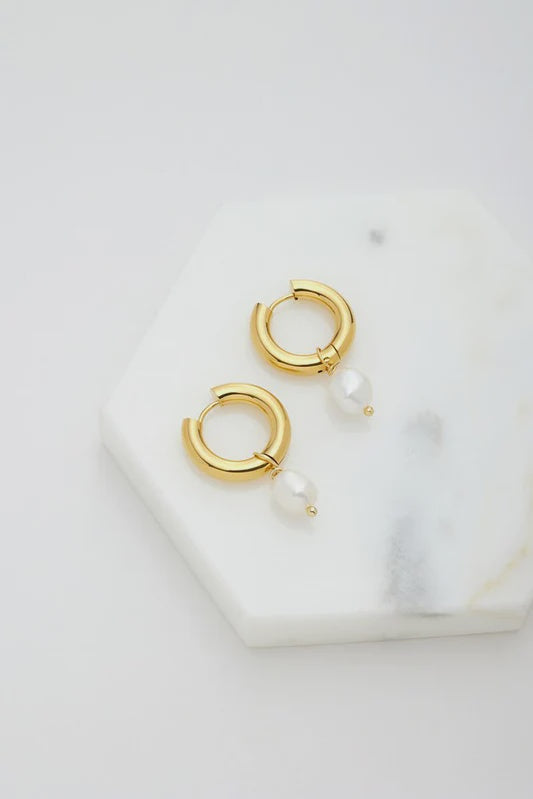 Earring - Charlie Hoop - Gold