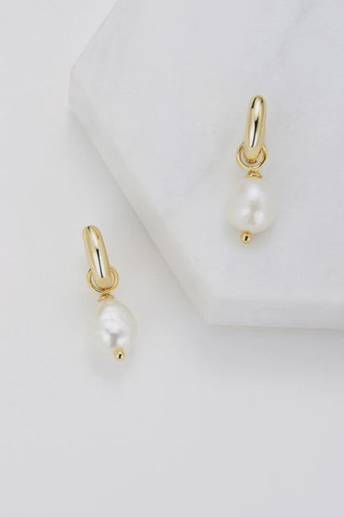 Earrings - Charlie Mini Hoop Gold