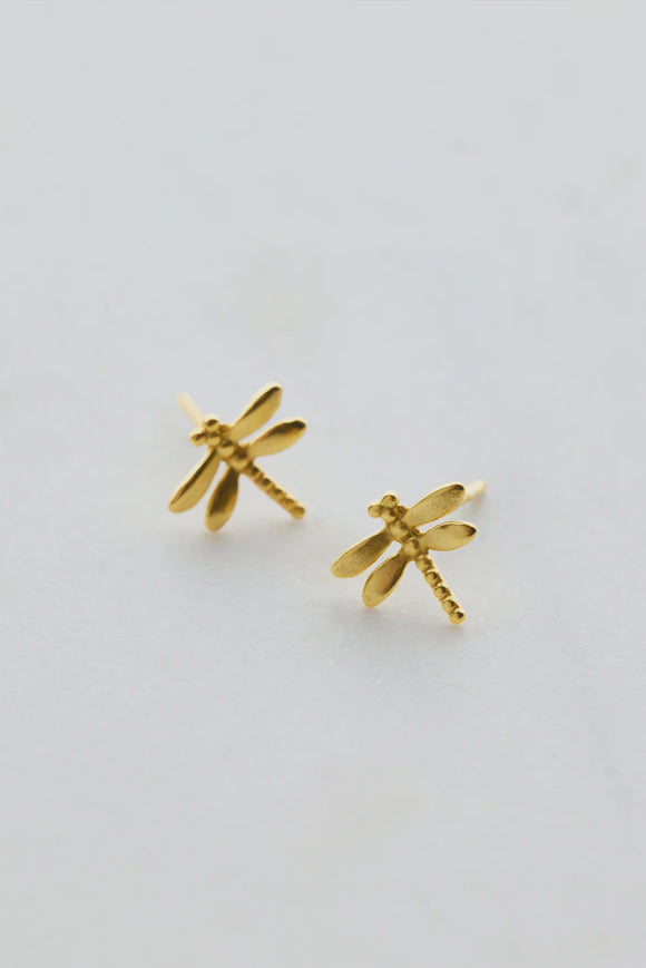Zafino - Dragonfly Stud Earring - Gold