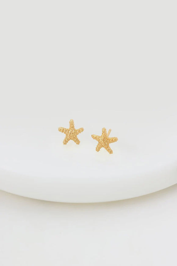 Zafino Earrings - Starfish Stud Gold