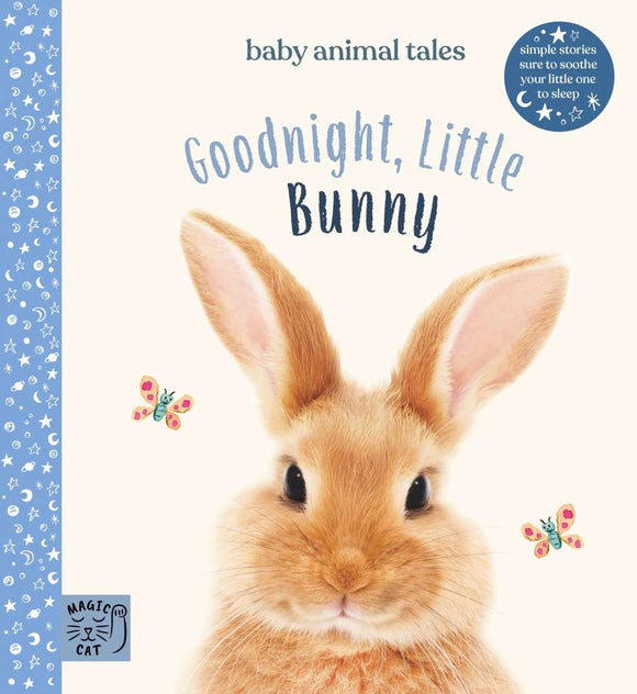 Book - Goodnight little Bunny