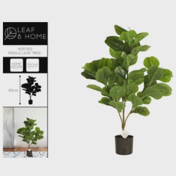 Fiddle Leaf Fig w Pot 80cm