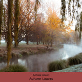 Getting Lost Suitcase - Red Autumn Leaves