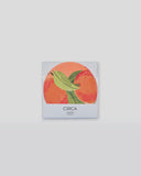 CIRCA Coasters Summer - Pack of 8