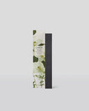 Circa Scent Stem - Vanilla Bean & Allspice