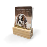 Affirmation Cards - Little Paws