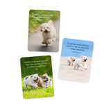 Affirmation Cards - Pupparazzi