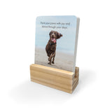 Affirmation Cards - Pupparazzi