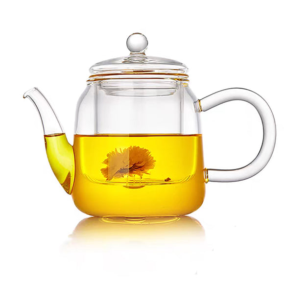 Glass Teapot W Filter 500ml