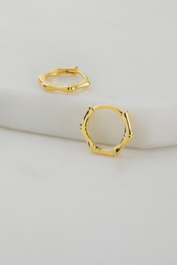 Earrings - Rye Gold