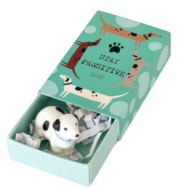 Pawsitive Dog Matchbox Memory Turquoise