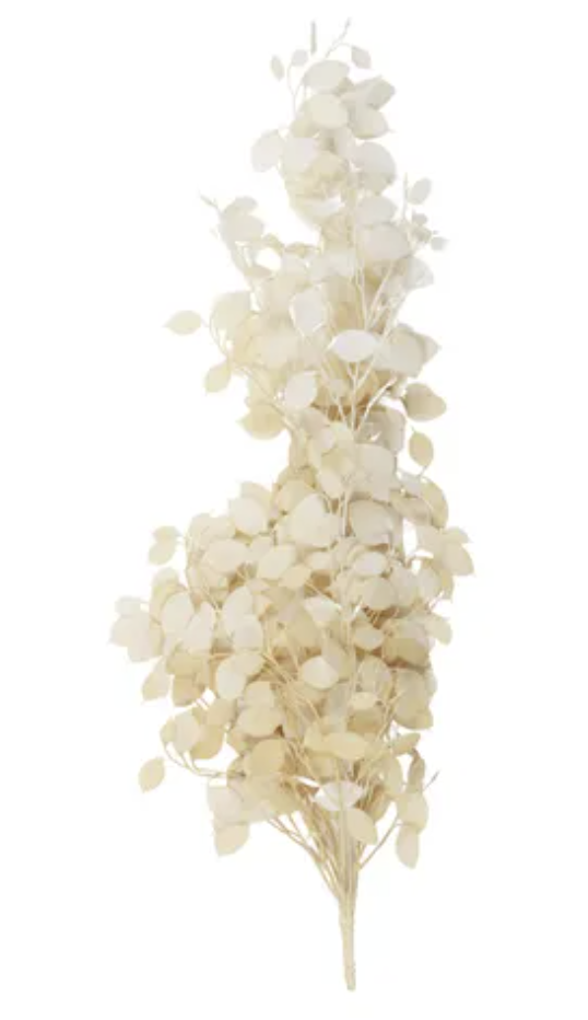 Hanging Pennycress Bunch