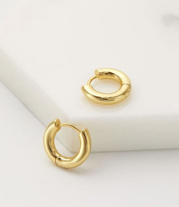 Earring - Kendall Small Hoop  Gold