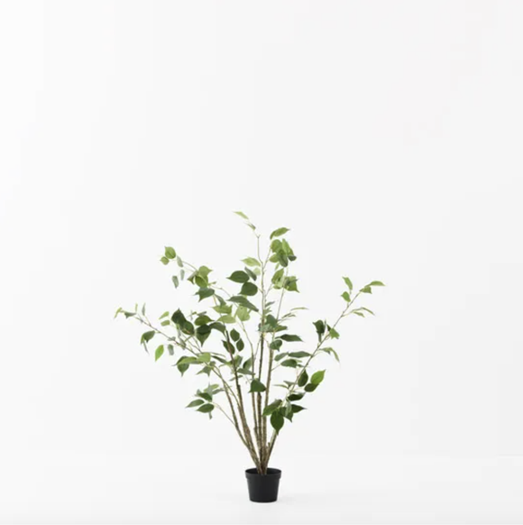 Faux Tree - Ficus Tree