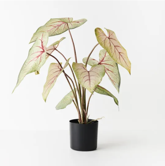 Faux Tree - Caladium
