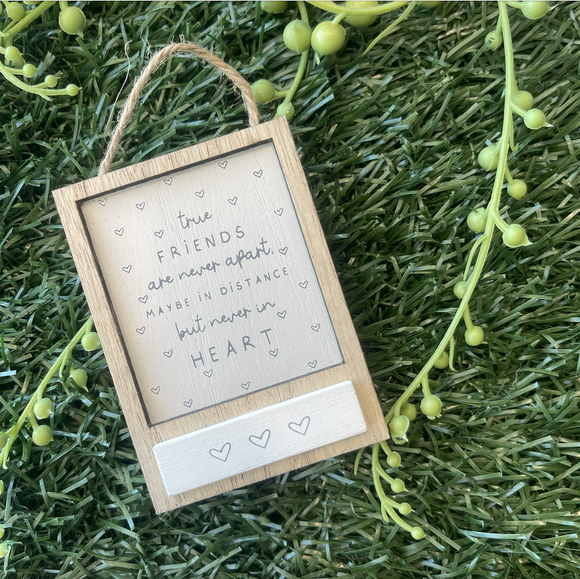 Moments Mini Hanging Plaque - True Friends