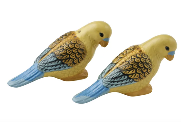 Kylie Set of 2 Ceramic S&P shakers - Blue Multi