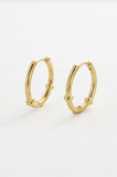 Zafino Earring - Tessa Hoop - Gold