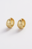 Zafino Earrings Gia Hoop