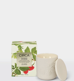 CIRCA 300g Candle Christmas - Raspberry & Rhubarb