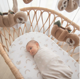 Musical Mobile Set - Sloth