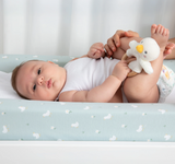 Ring Rattle & Dummy Chain Gift Set - Goosey Goosey