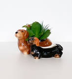Cute Dachshund Planter Brown 20cm