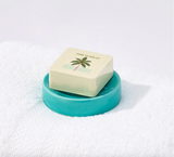 Shower Steamer Dish - Mint