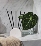 Circa Scent Stem - Vanilla Bean & Allspice