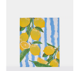 CIRCA Greaseproof Paper - Pack of 30