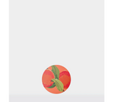CIRCA Coasters Summer - Pack of 8