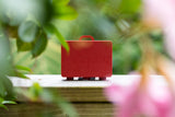 Getting Lost Suitcase - Red Autumn Leaves