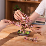 Rolife Mini DIY - Sakurs Bonsai