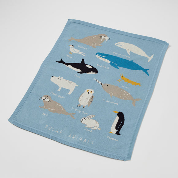 Baby Knitted Blanket - Aurora