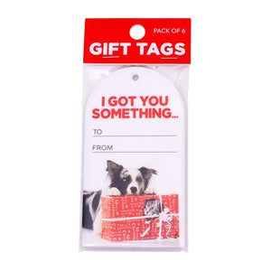 Christmas Gift Tags 6pck - Got You
