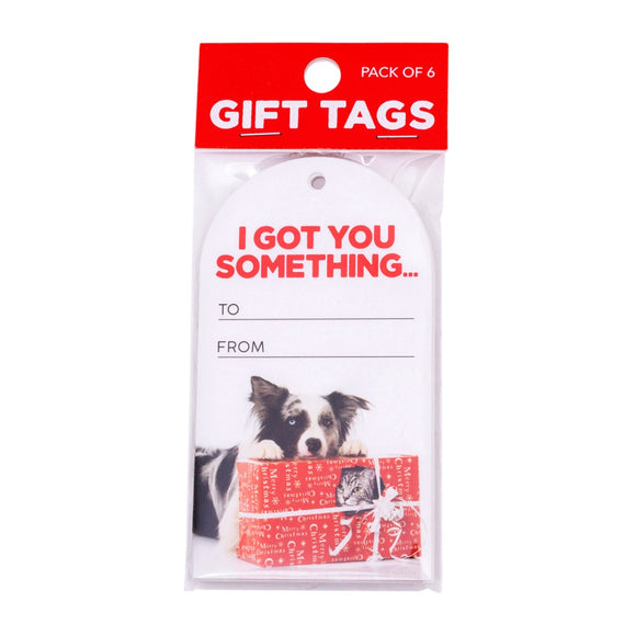 Christmas Gift Tags 6pck - Got You