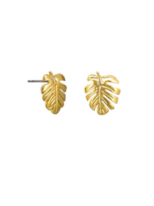 Earrings - Monstera Gold