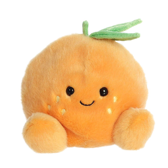 Palm Pal - Orange